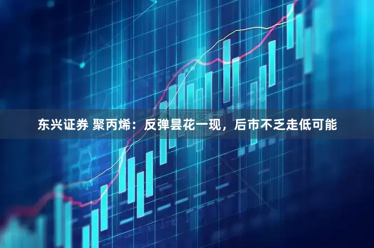东兴证券 聚丙烯：反弹昙花一现，后市不乏走低可能