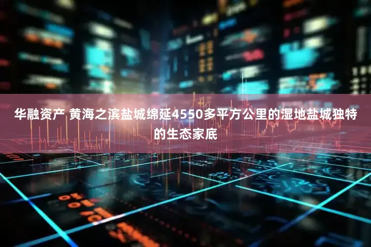 华融资产 黄海之滨盐城绵延4550多平方公里的湿地盐城独特的生态家底