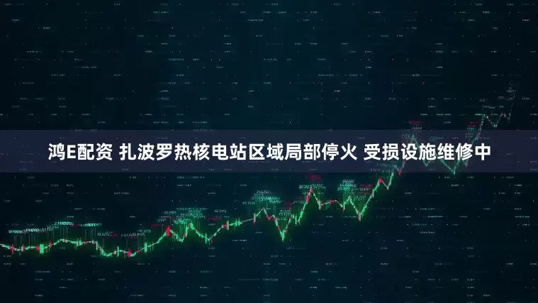 鸿E配资 扎波罗热核电站区域局部停火 受损设施维修中